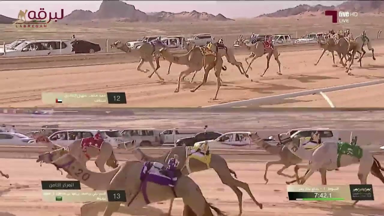 ش1 عالية لـ هجن الشحانية (سالم بن فاران المري) كأس العلا للهجن 26-4-2024 كأس الجذاع بكار 9:37:76