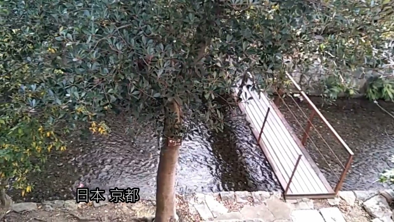 農曆年前的懺悔 我們就被吸引歸入甜美的你  得到人生的真諦實意