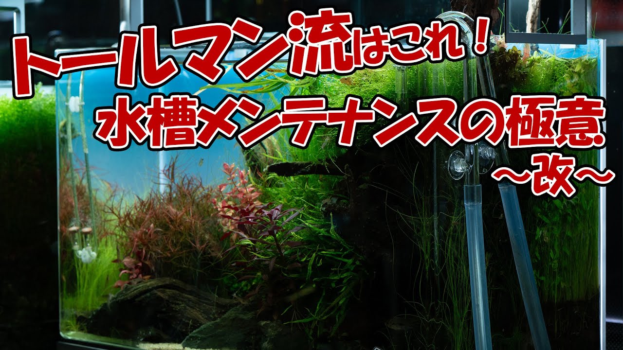 水槽メンテナンスの極意〜改〜