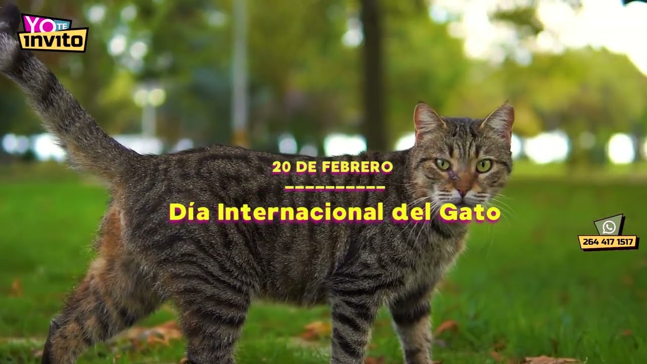 Viernes 20 de febrero - Bloque 1 / Tema del d&iacute;a, noticias con Diario Huarpe 🗞️