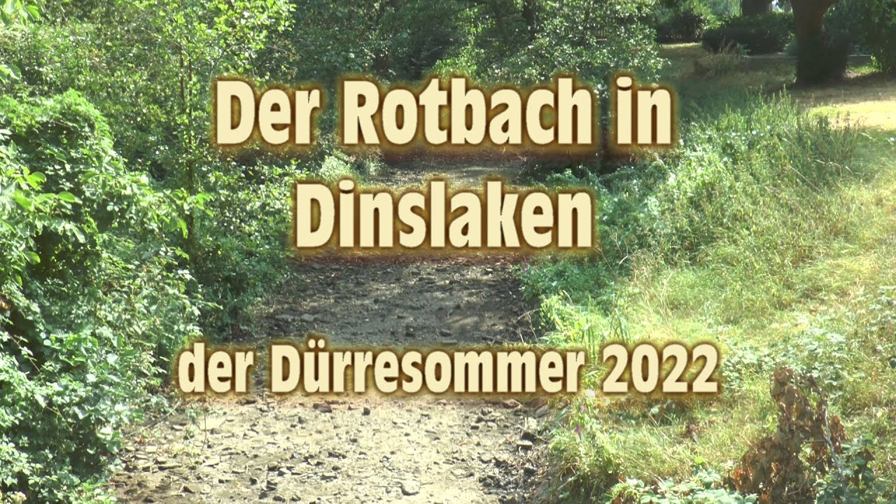 Der Rotbach in Dinslaken - Der Dürresommer 2022