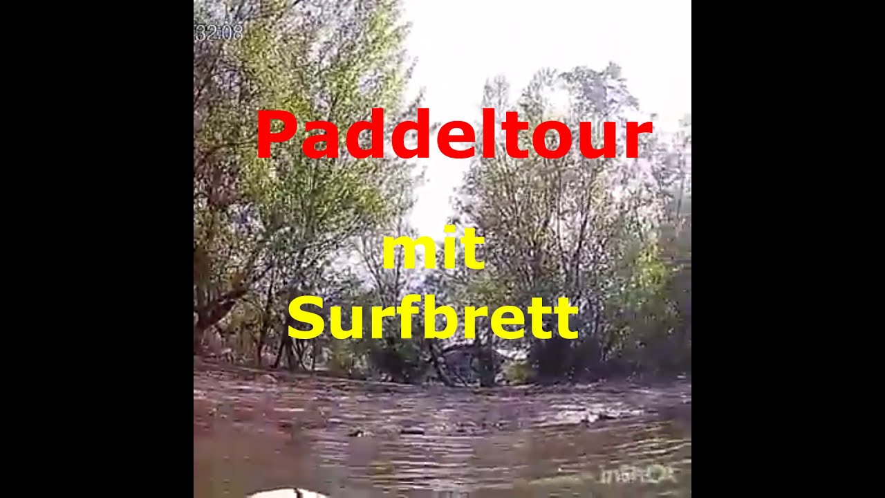 Paddeltour mit Surfbrett auf dem Altrhein