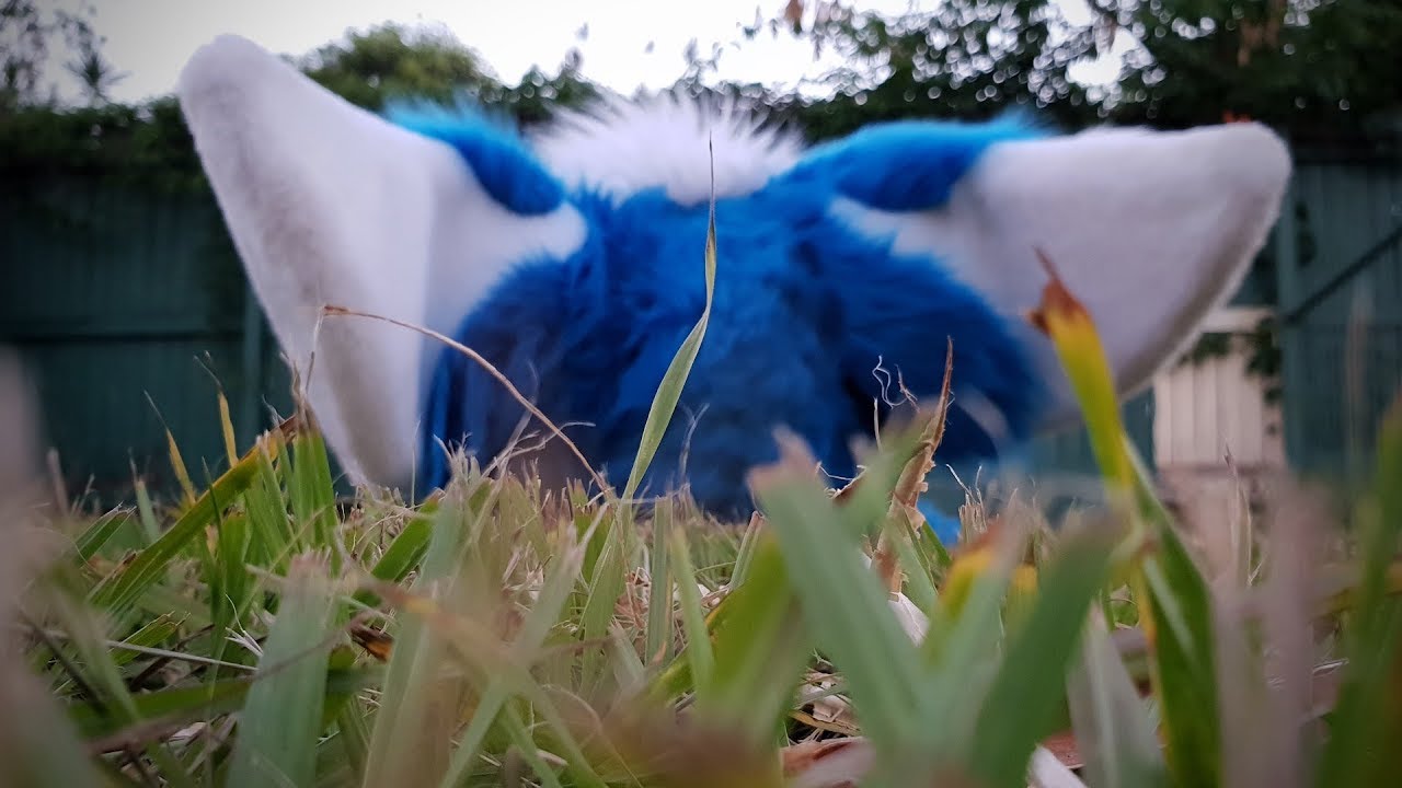 Pocari is retiring