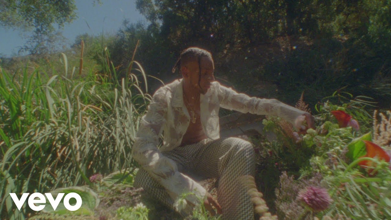 Masego - Passport (Visualizer)