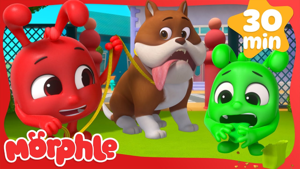 🐶 Morphle Takes the Dog for a Walk 🐶 | Cartoons for Kids | Mila and Morphle