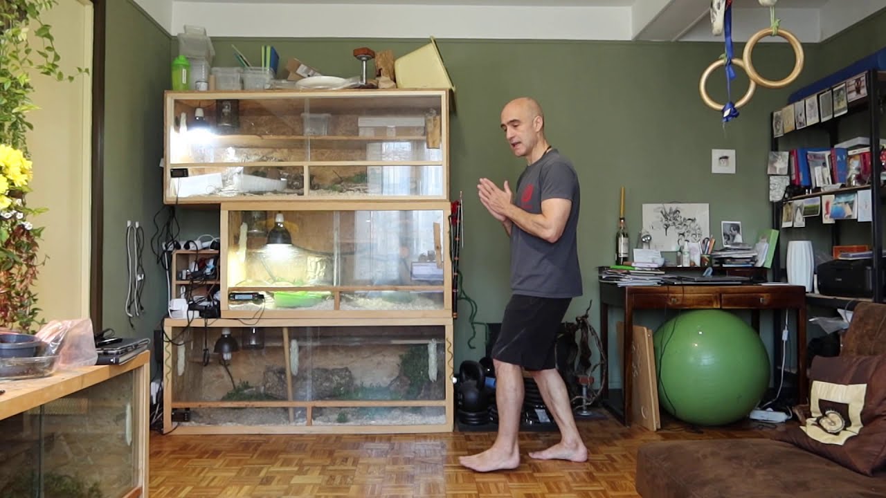 Bagua key practise points