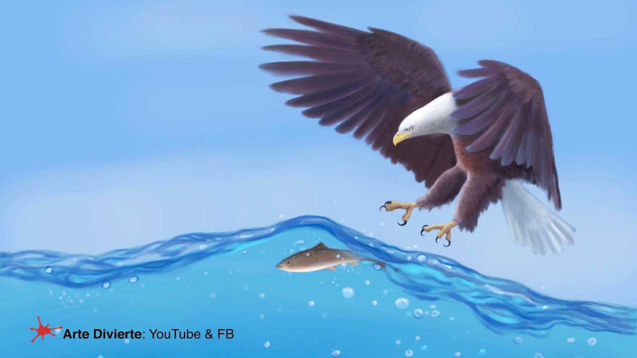 CÓMO DIBUJAR UN ÁGUILA PESCANDO (DIGITAL) - iPad/Apple Pencil/Procreate