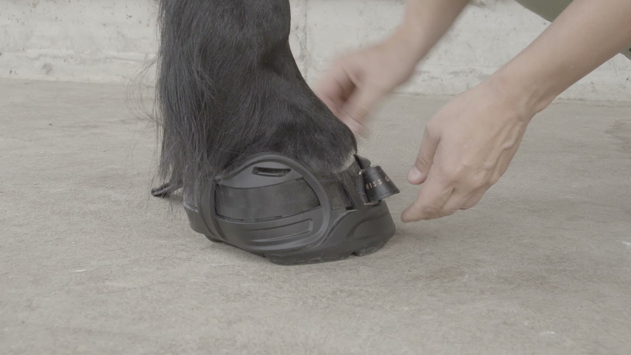 SWISS GALOPPERS - Easy + quick on´n off