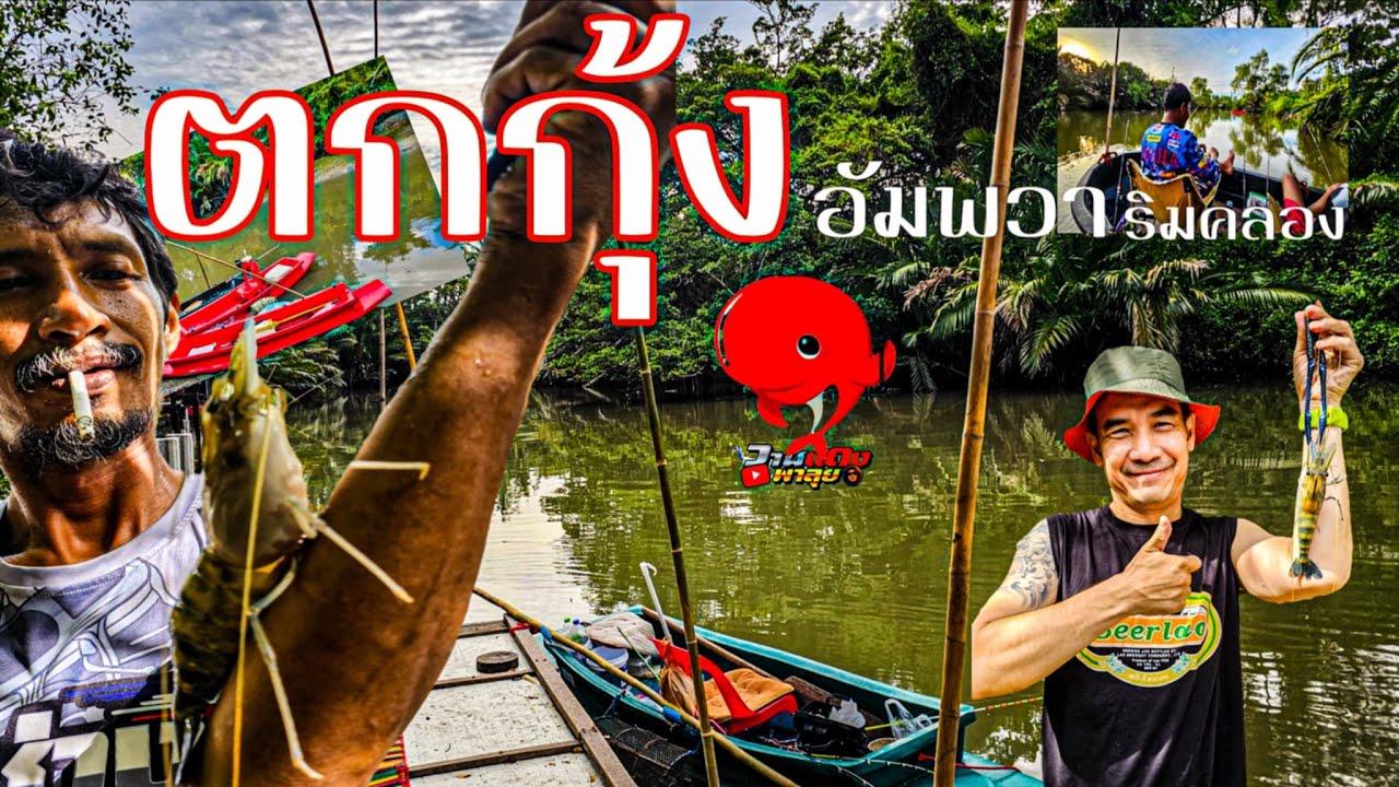 ตกกุ้งอัมพวาริมคลอง วาฬแดงพาลุย ที่พักหัวละ 200 2บาทเช่าเรือ 200 บาท / แม่กลอง /สมุทรสงคราม