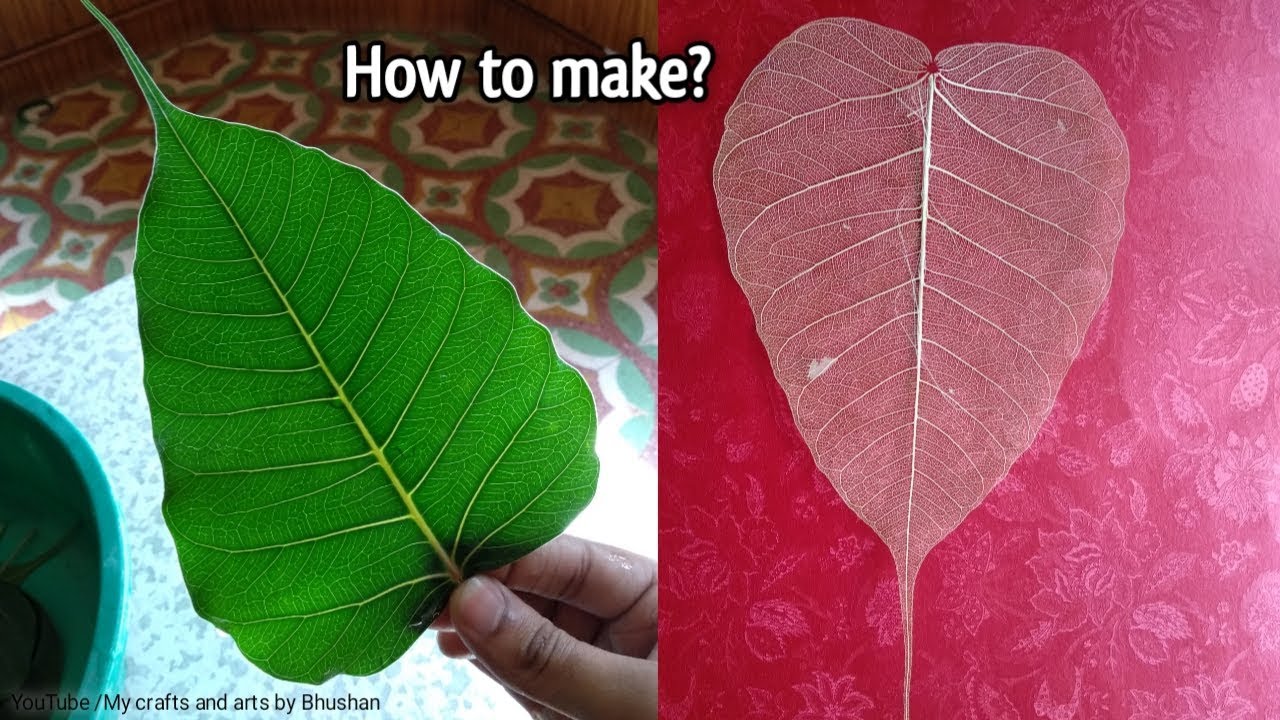 How to make leaf skeletons at home step by step, Without chemicals Amazing DIY craft for Home decor