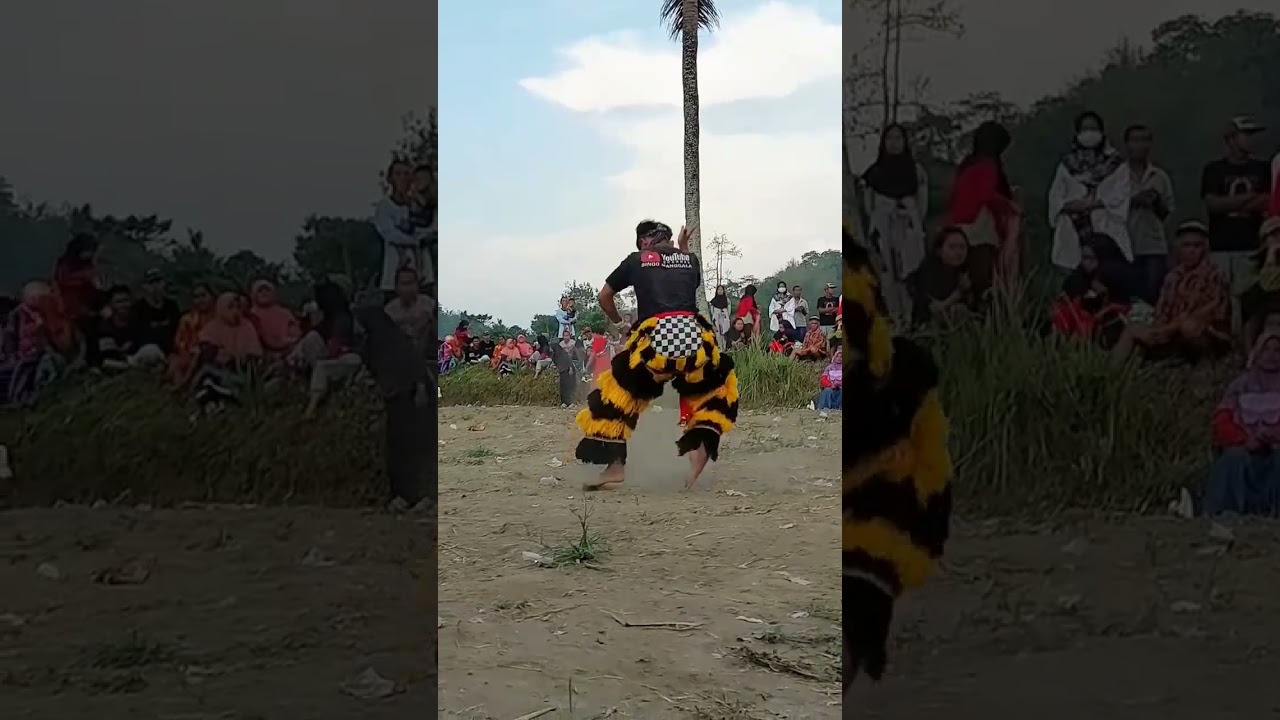 Ganong bachelor dance learning somersaults  #canmacanan #canmacananlucu #canmacanansingomanggala