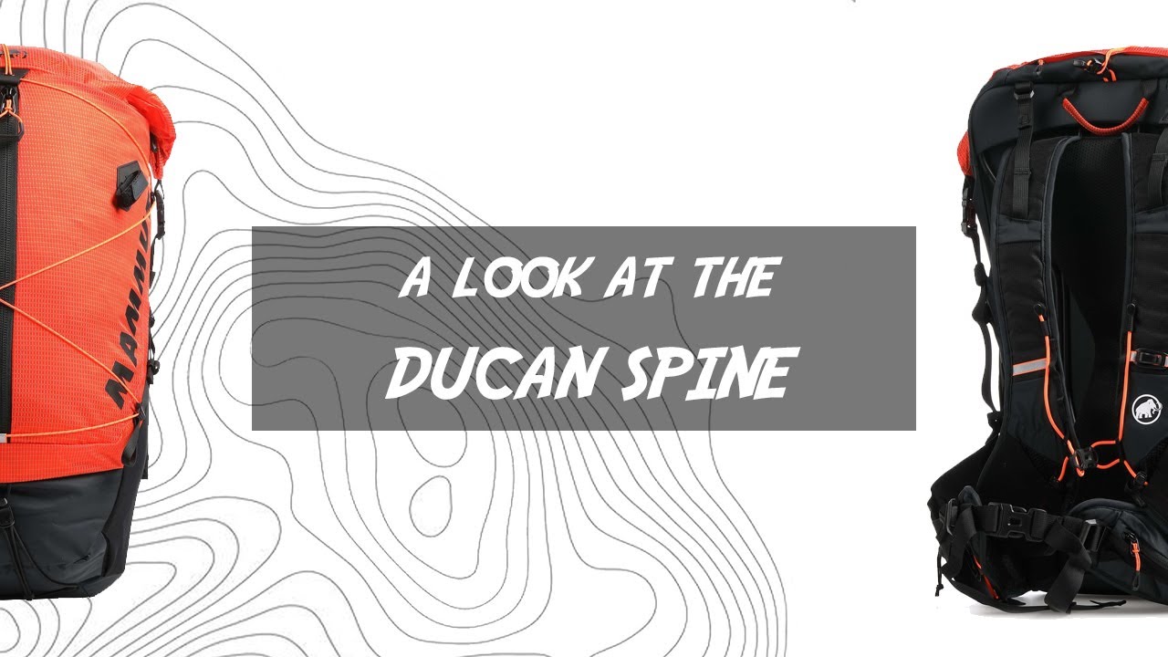 КРАТКИЙ ОБЗОР АССОРТИМЕНТА DUCAN SPINE