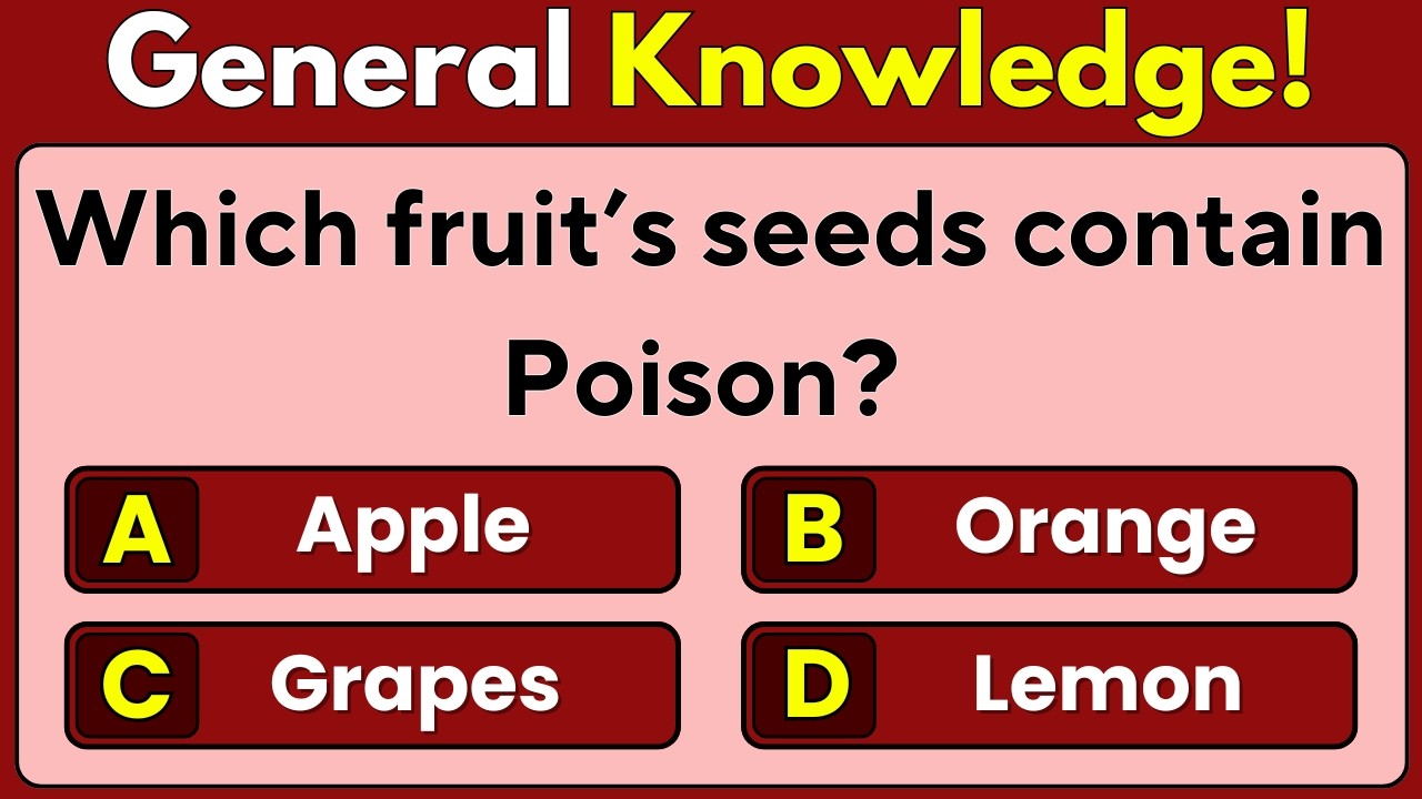 General Knowledge Quiz | General Knowledge | Mixed Trivia | Trivia Quiz | Trivia | Quiz | Pub Quiz