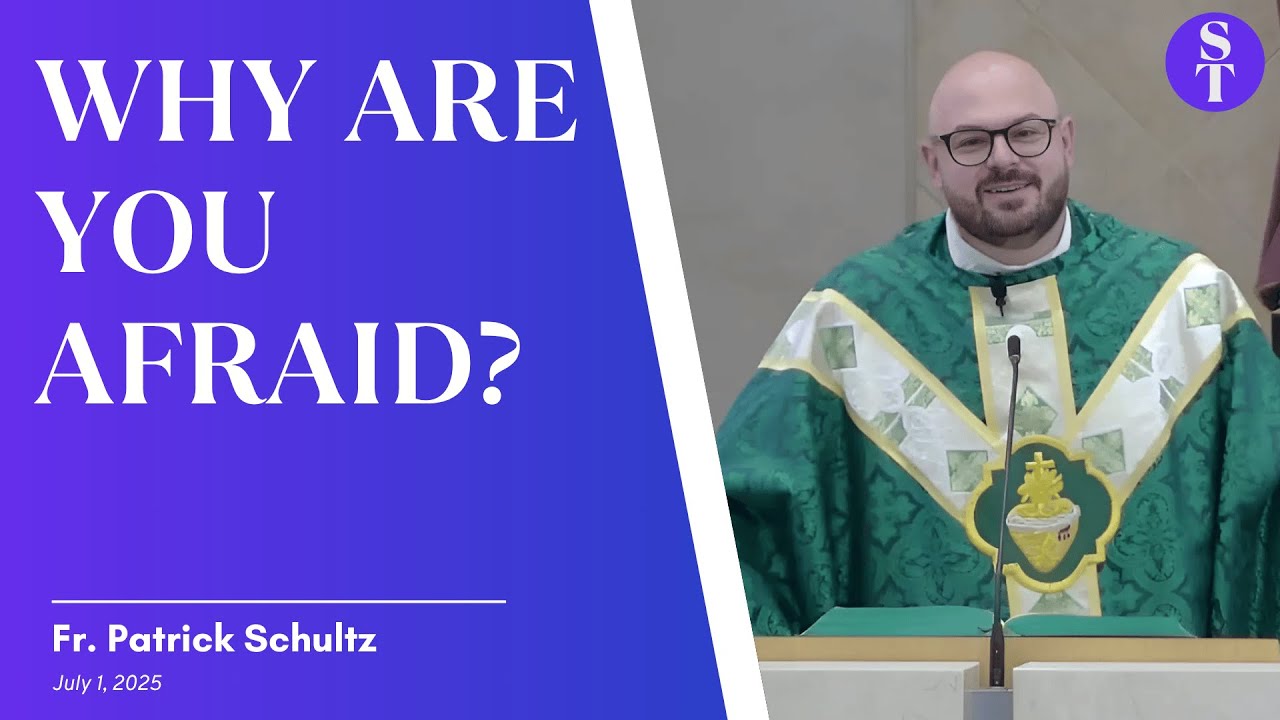 Facing Your Storm | Fr. Patrick Schultz