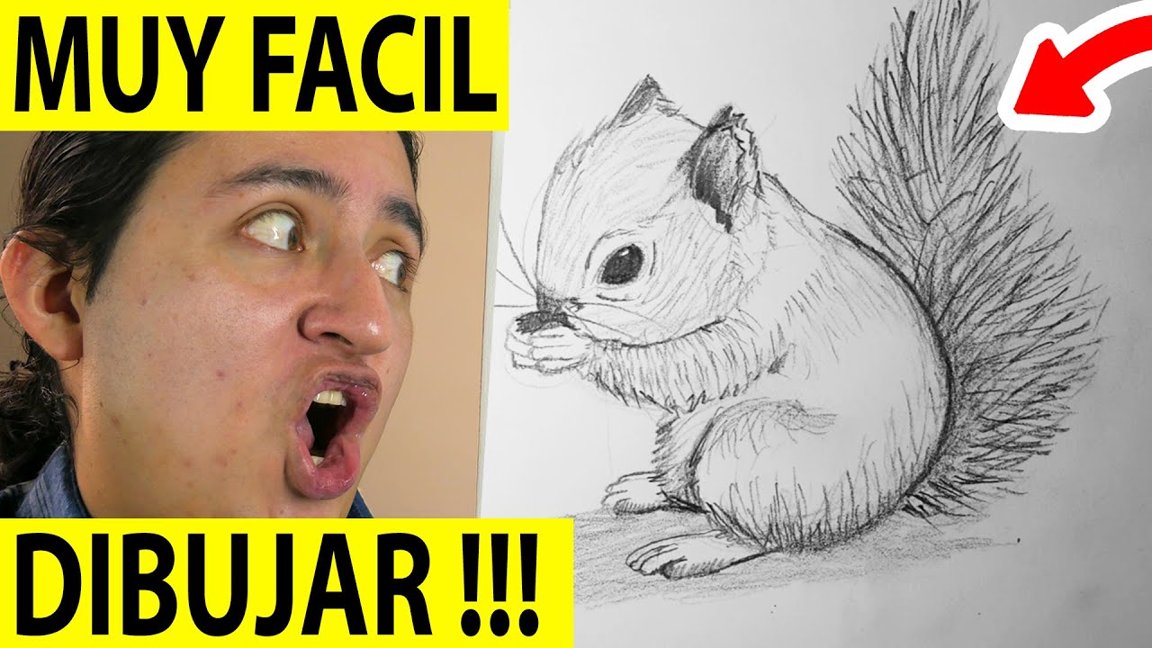 🥇 Como 🅳🅸🅱🆄🅹🅰🆁 UNA ARDILLA PASO A PASO FACIL REALISTA 【 MUY FÁCIL 】✅ Dibujos de Ardillas a lápiz