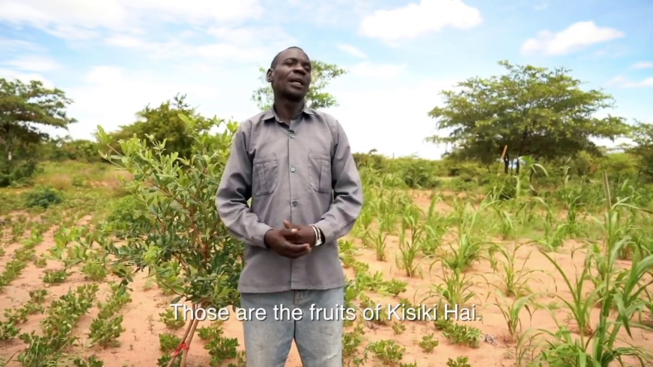 Kisiki Hai: The Benefits | Swahili (English subtitles) | Justdiggit