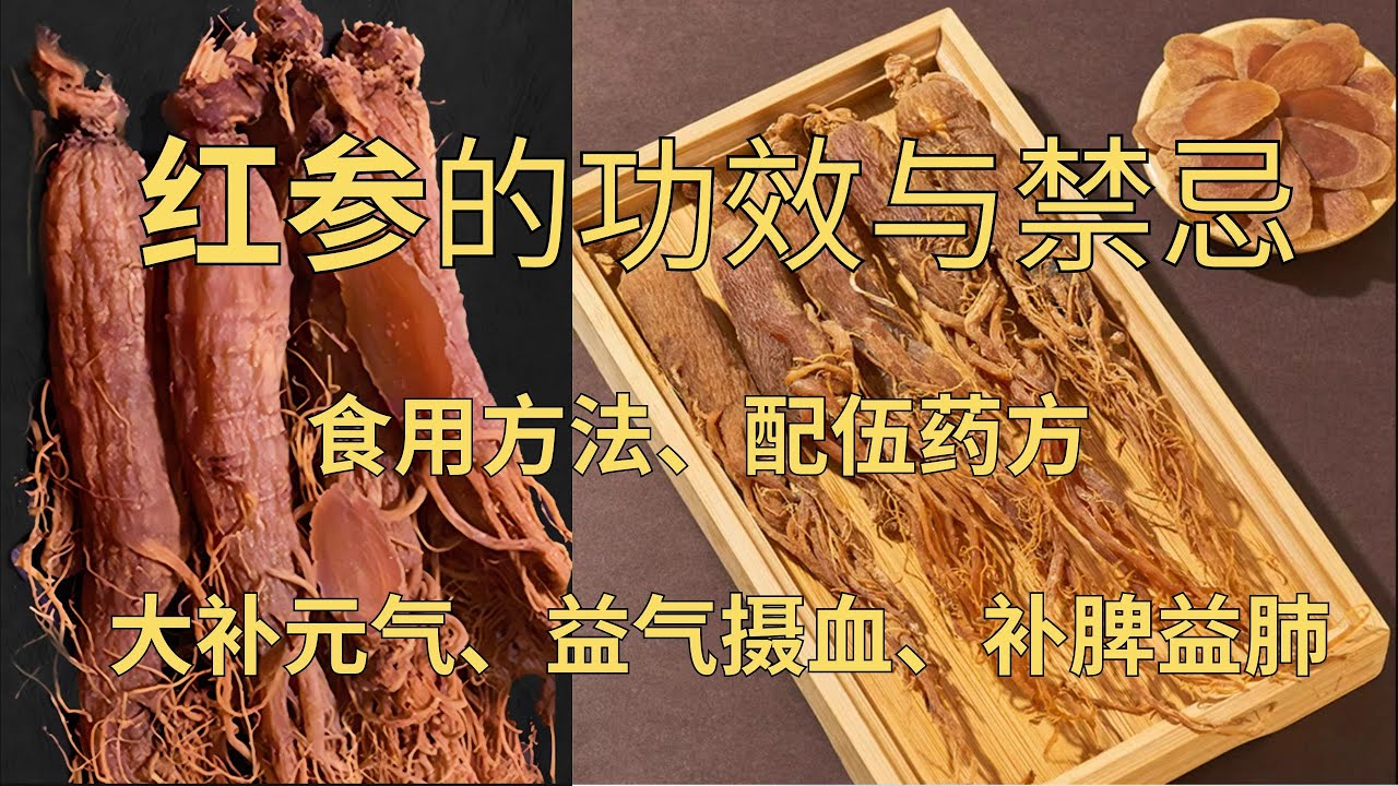 红参的功效与作用、红参的食用禁忌、食用方法#草药 #中药 #红参#补元气#补脾#益气