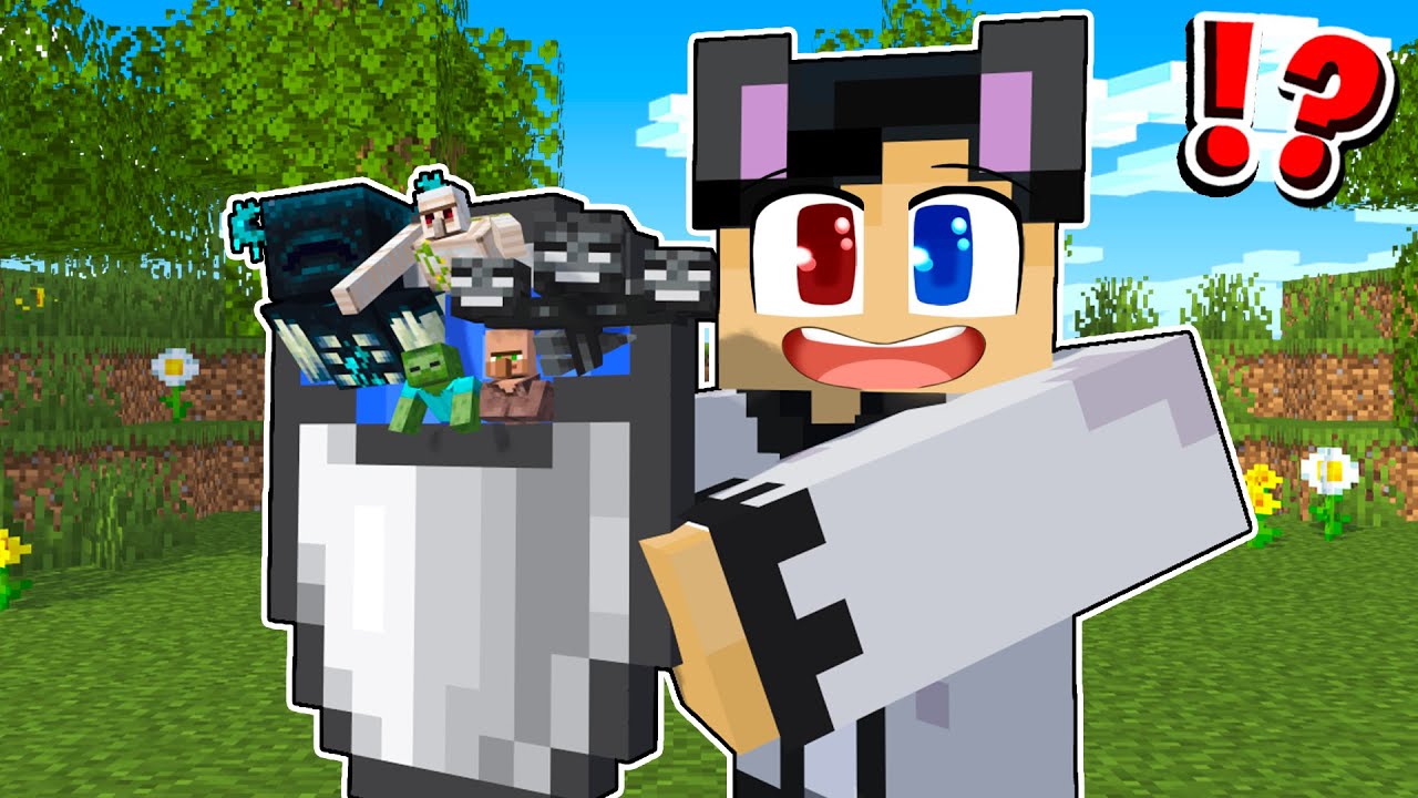 I Put Every Mobs in a OP BUCKET in Minecraft!