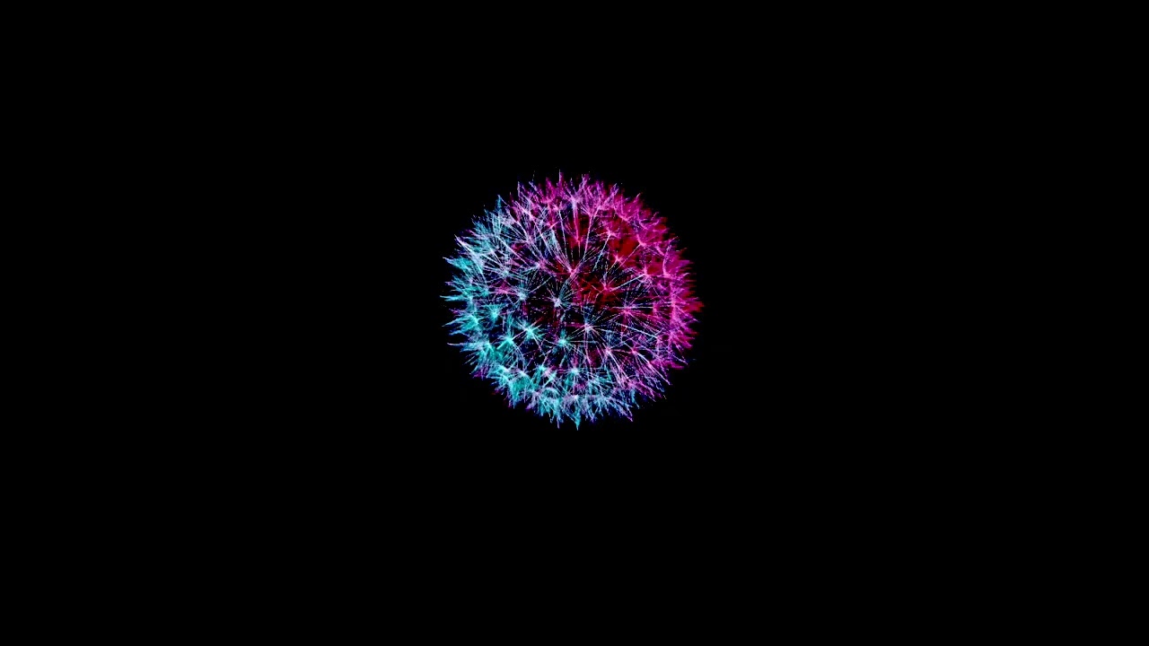 MAINVIBE - Dandelion