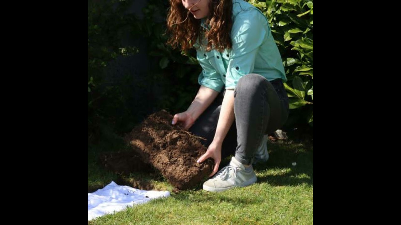 The GroundTruth Project