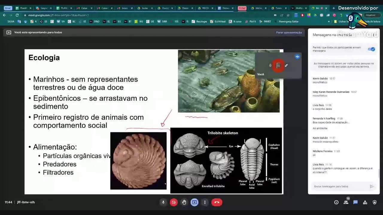 Aula 01 - Introdu&ccedil;&atilde;o a Ecdysozoa e Panarthropoda
