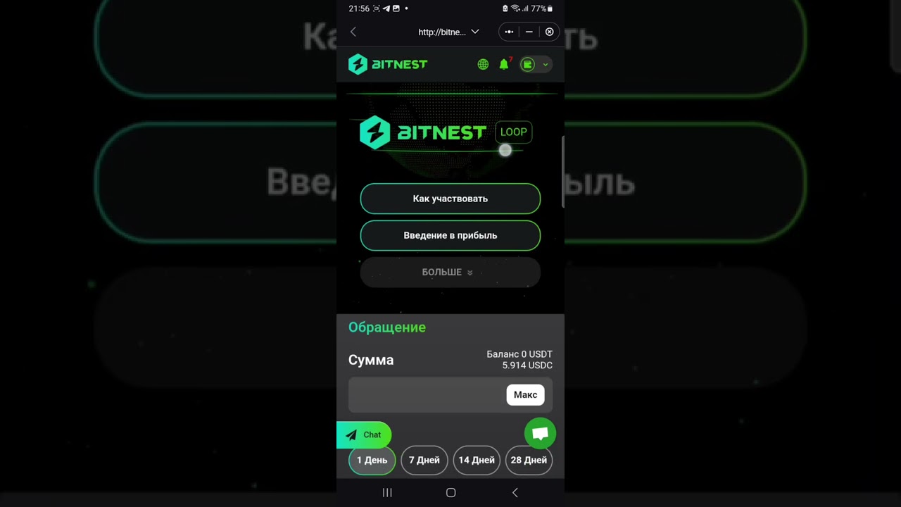Bitnest Loop (Bitnest Loop C) RESTART ( 
