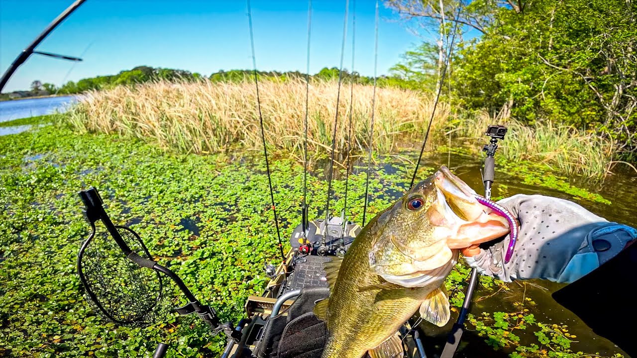 We Finally Found Some Bed Fish On Santee