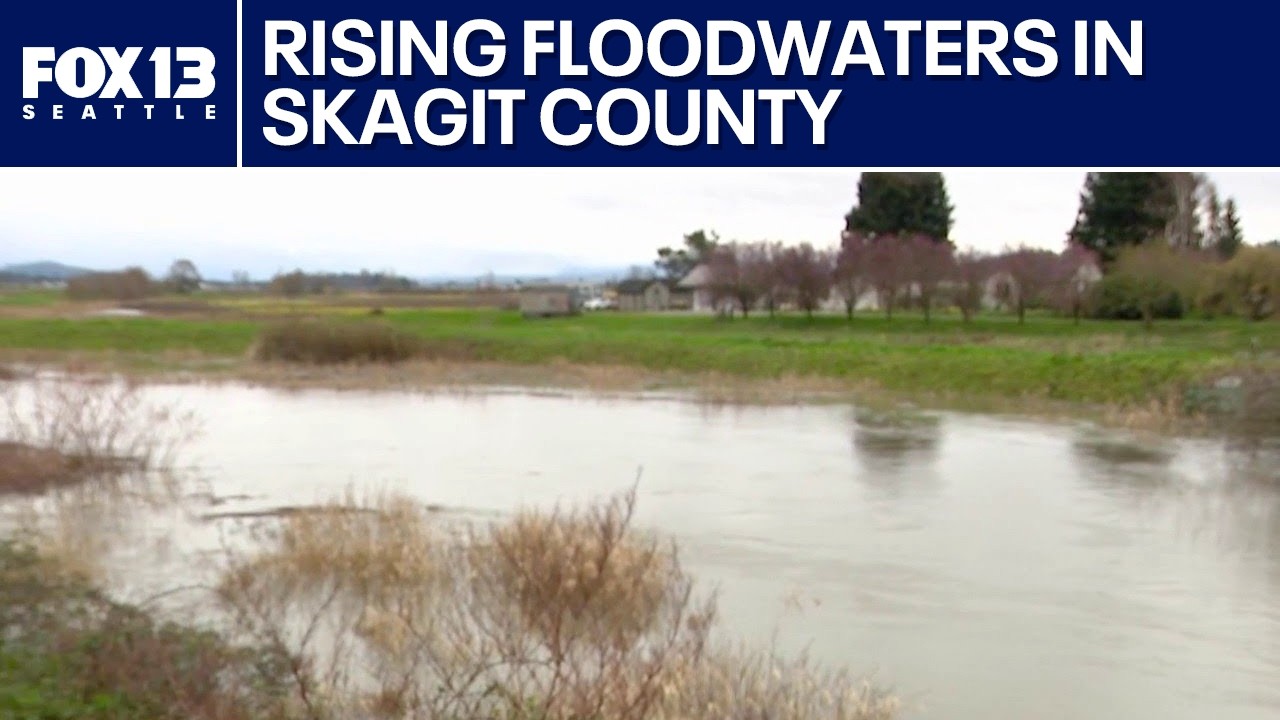 Flooding swamps Skagit Valley farmland as rivers rise | FOX 13 Seattle