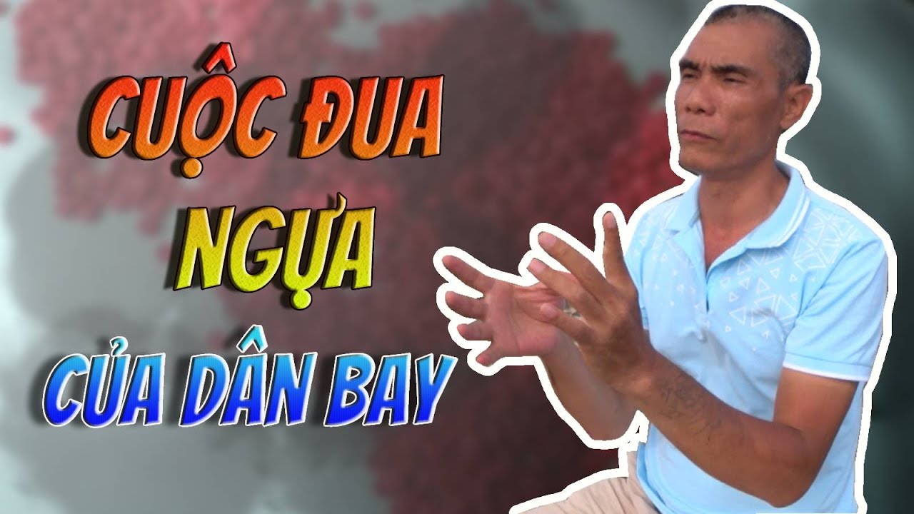Hồng phiến và cuộc đua ngựa của dân bay