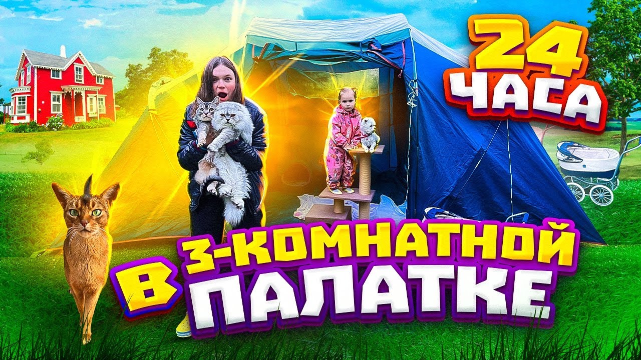24 ЧАСА В ТРЁХКОМНАТНОЙ ПАЛАТКЕ С КОТАМИ И СОБАКОЙ | ПРАВДА ИЛИ ДЕЙСТВИЕ С БИЛЛИ И КЕВИНОМ