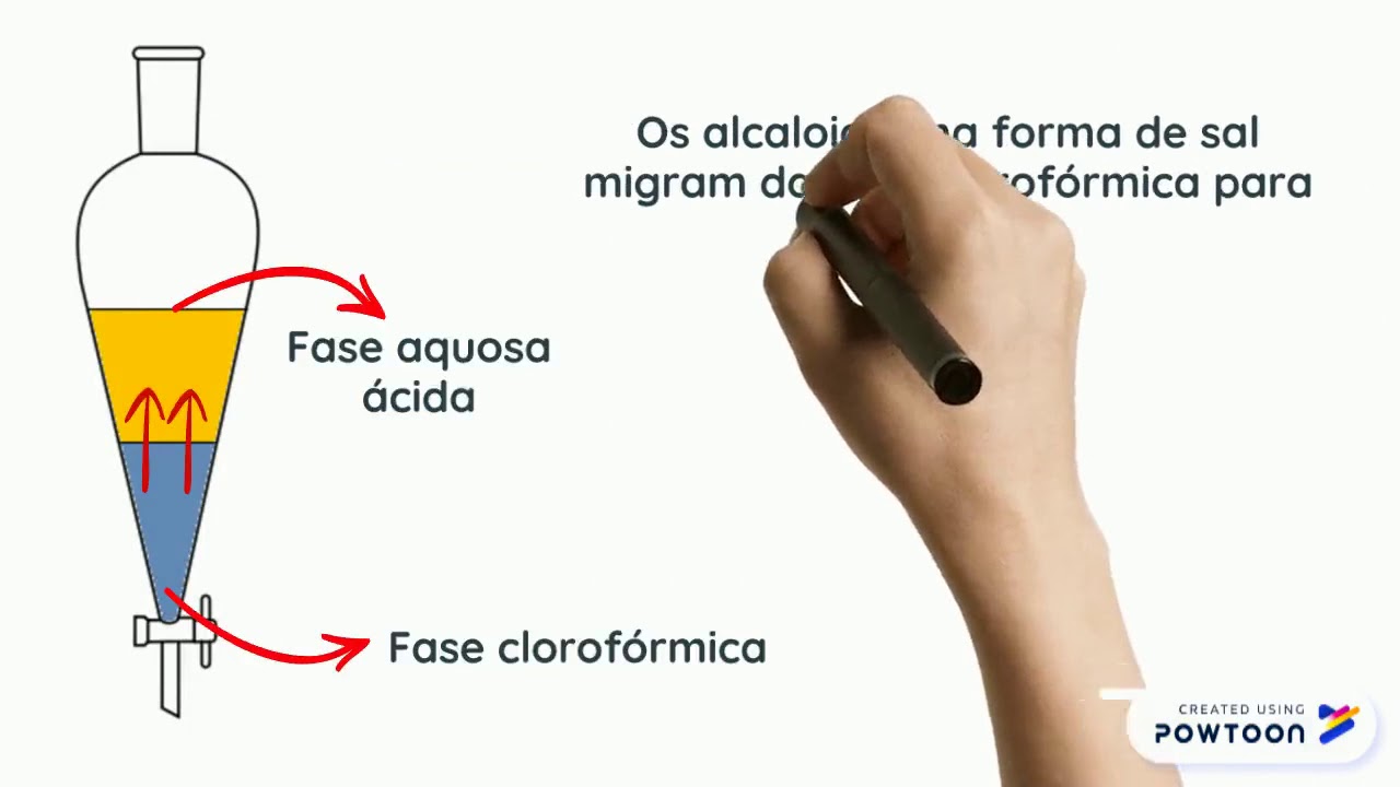 Extração de Alcaloides em meio Alcalino