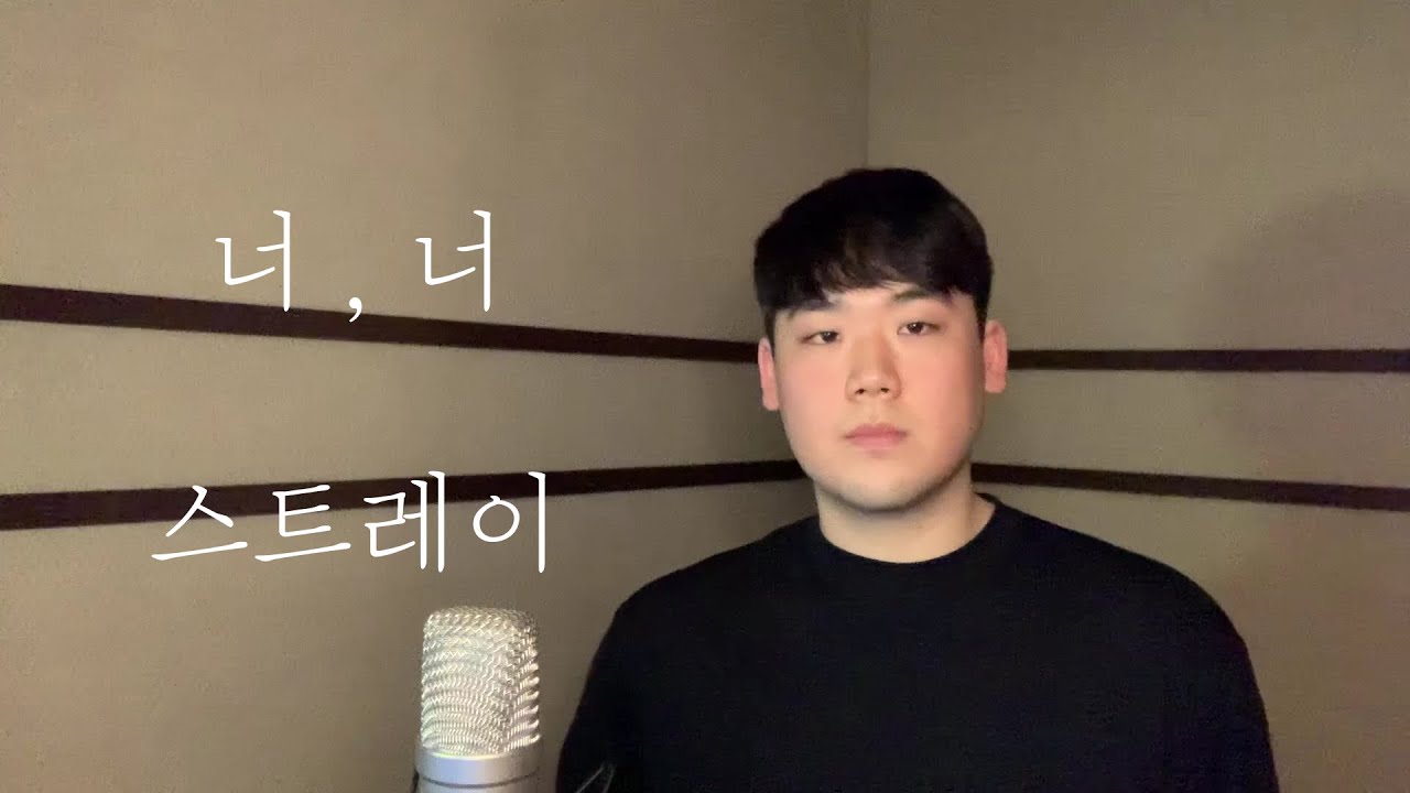 스트레이 - 너 , 너  | cover by 유성주