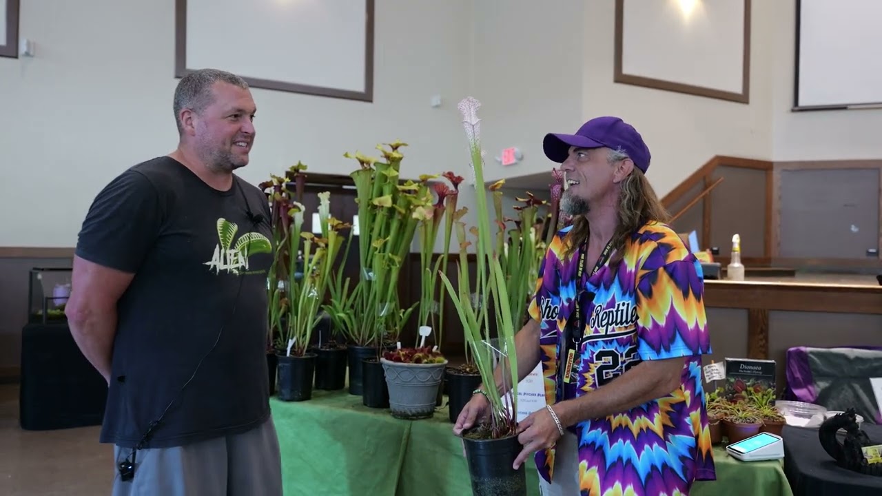 Vendor Visit FlyTrapStore.com