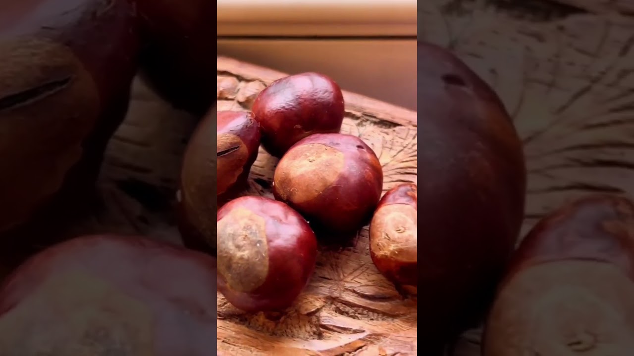 Let's turn nuts into a divination tool!