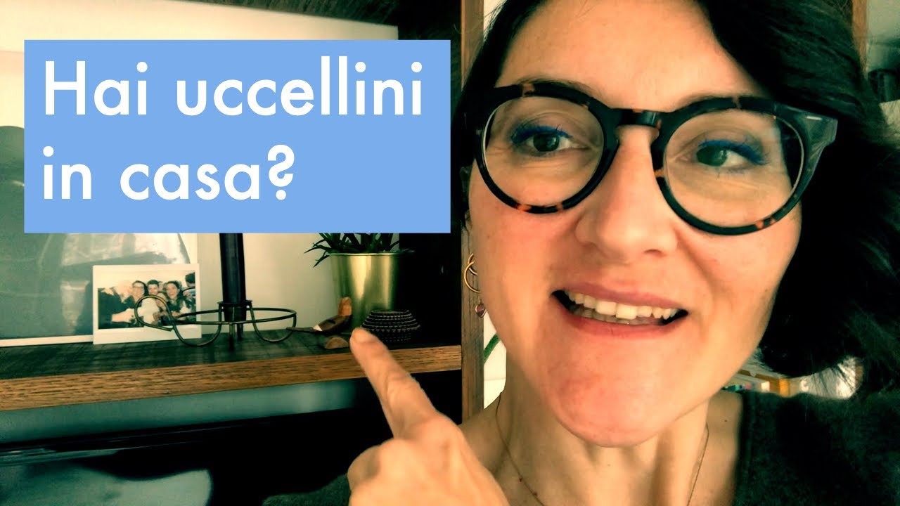 Tu hai un uccellino in casa?