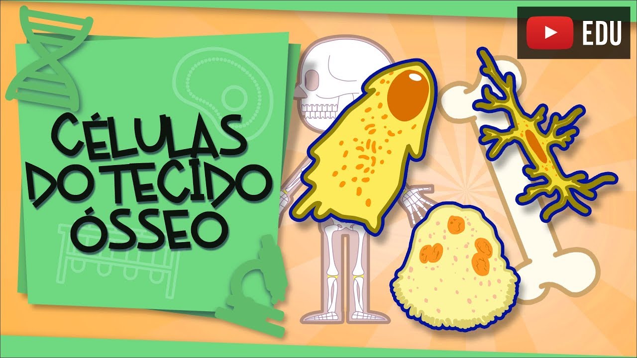 C&eacute;lulas do Tecido &Oacute;sseo - construindo nossos ossos