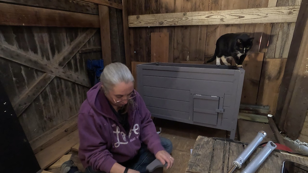 More Barn Cat Projects, part 2. New cat house.