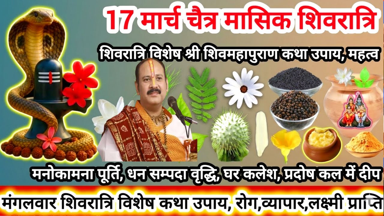 17 मार्च शिवरात्रि विशेष उपाय | प्रदीप मिश्रा जी के बताए चमत्कारी उपाय | दुख कष्ट होंगे दूर