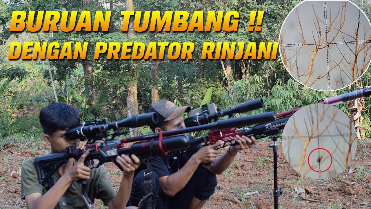 TERBUKTI AKURASINYA..!! BERBURU MENGGUNAKAN SENAPAN ANGIN PCP BOCAP PREDATOR RINJANI TERBAIK 2023