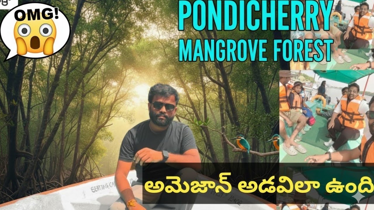 పాండిచ్చేరి వెళ్తే ఇక్కడికి ఖచ్చితంగా వెళ్లాల్సిందే! | Mangrove Forest Tour Telugu | @Manulaktt 