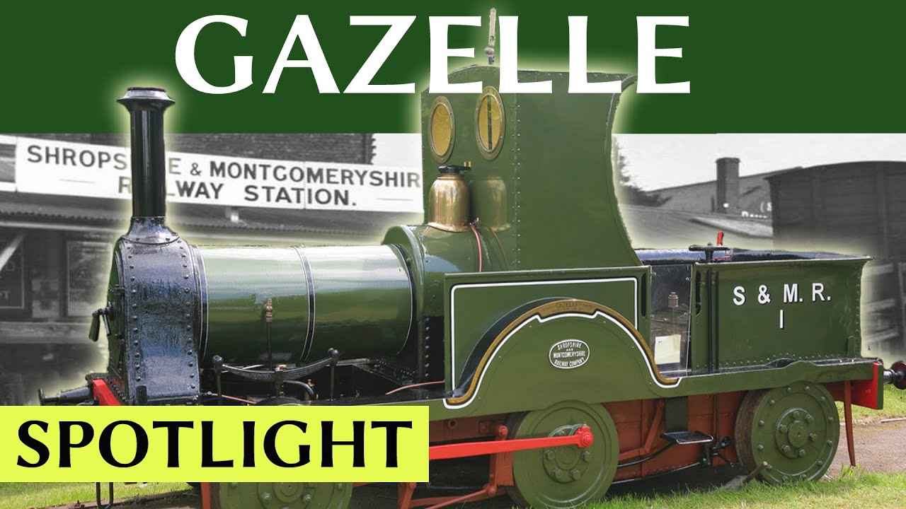 Spotlight: Gazelle