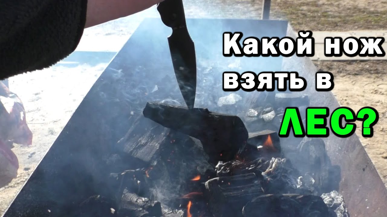 Какой нож Daggerr лучше всего подходит для леса?
