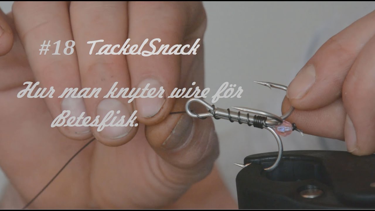 Rysken´s Tackelsnack #18 How to knyta en mete/flötestrolling tafs på Coated-wire.