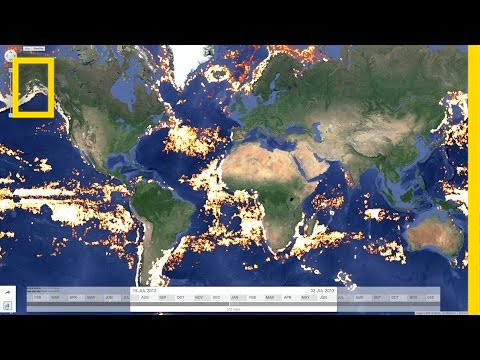 Tracking Illegal Fishing—From Space | National Geographic