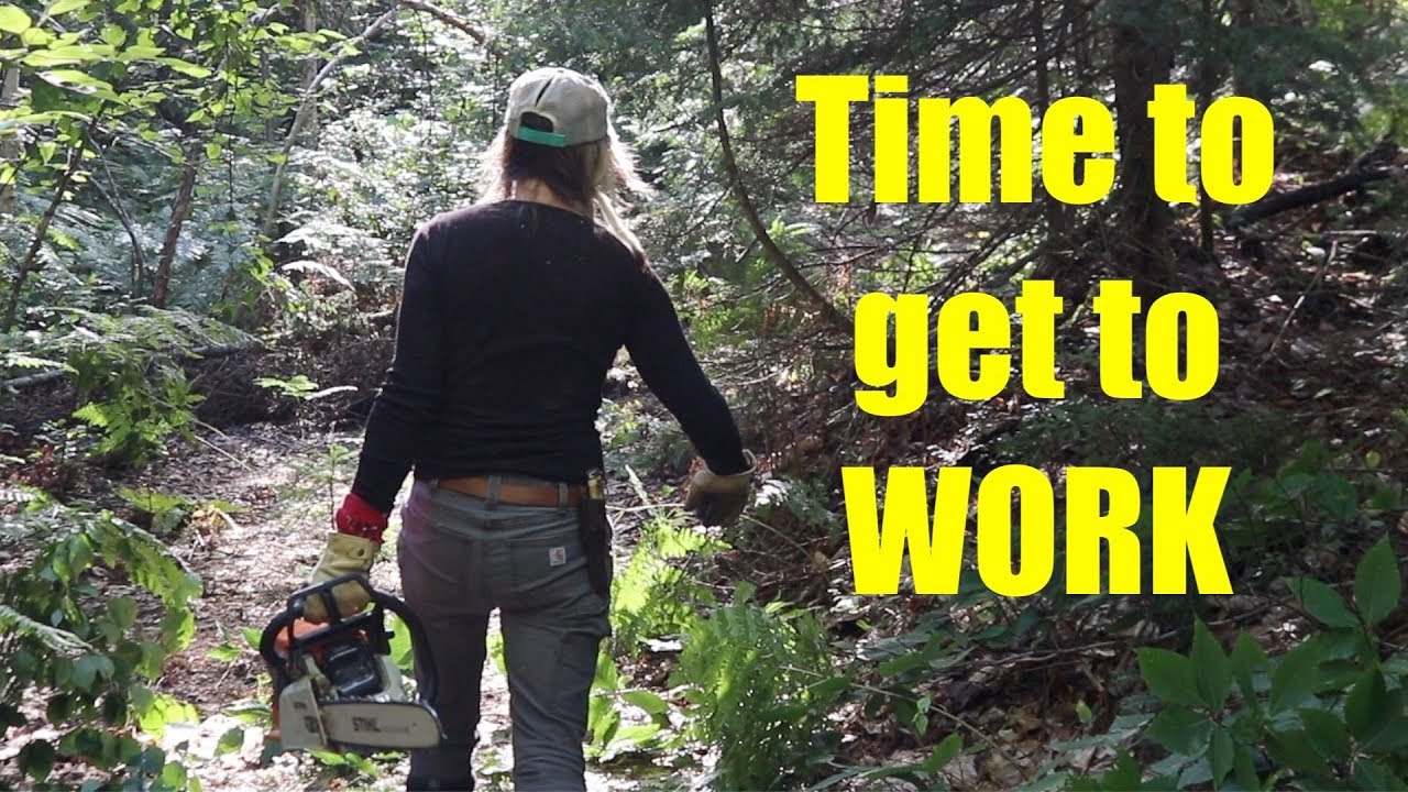 Offer Accepted, First Night on the Land & Surprises ~ CABIN BUILD, Episode 2