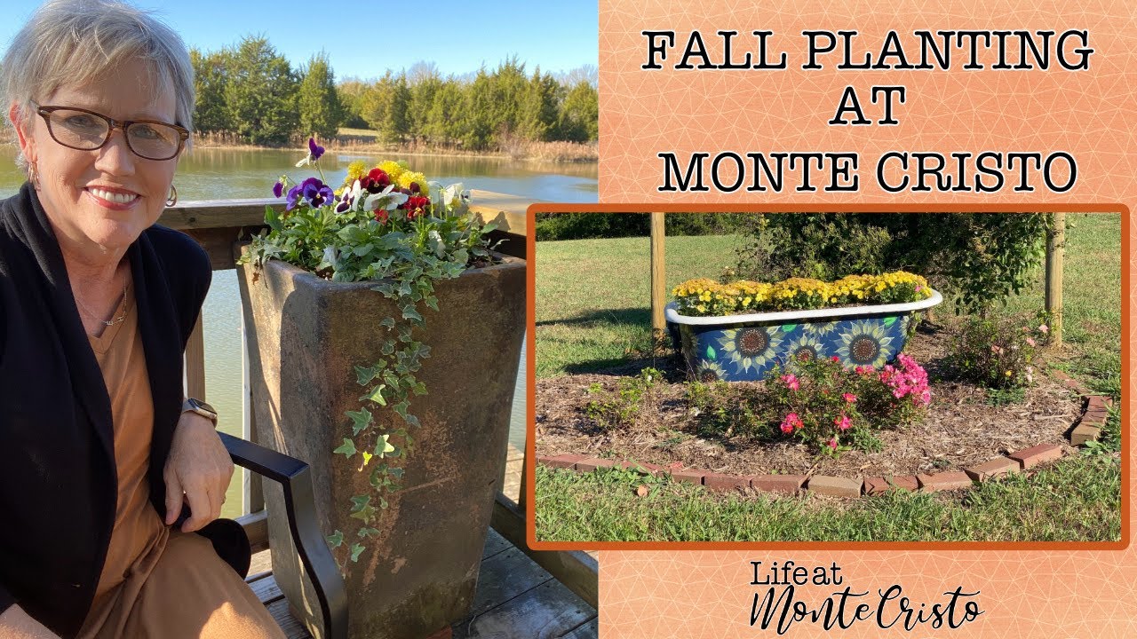 Fall Planting!  Mums & Pansies!