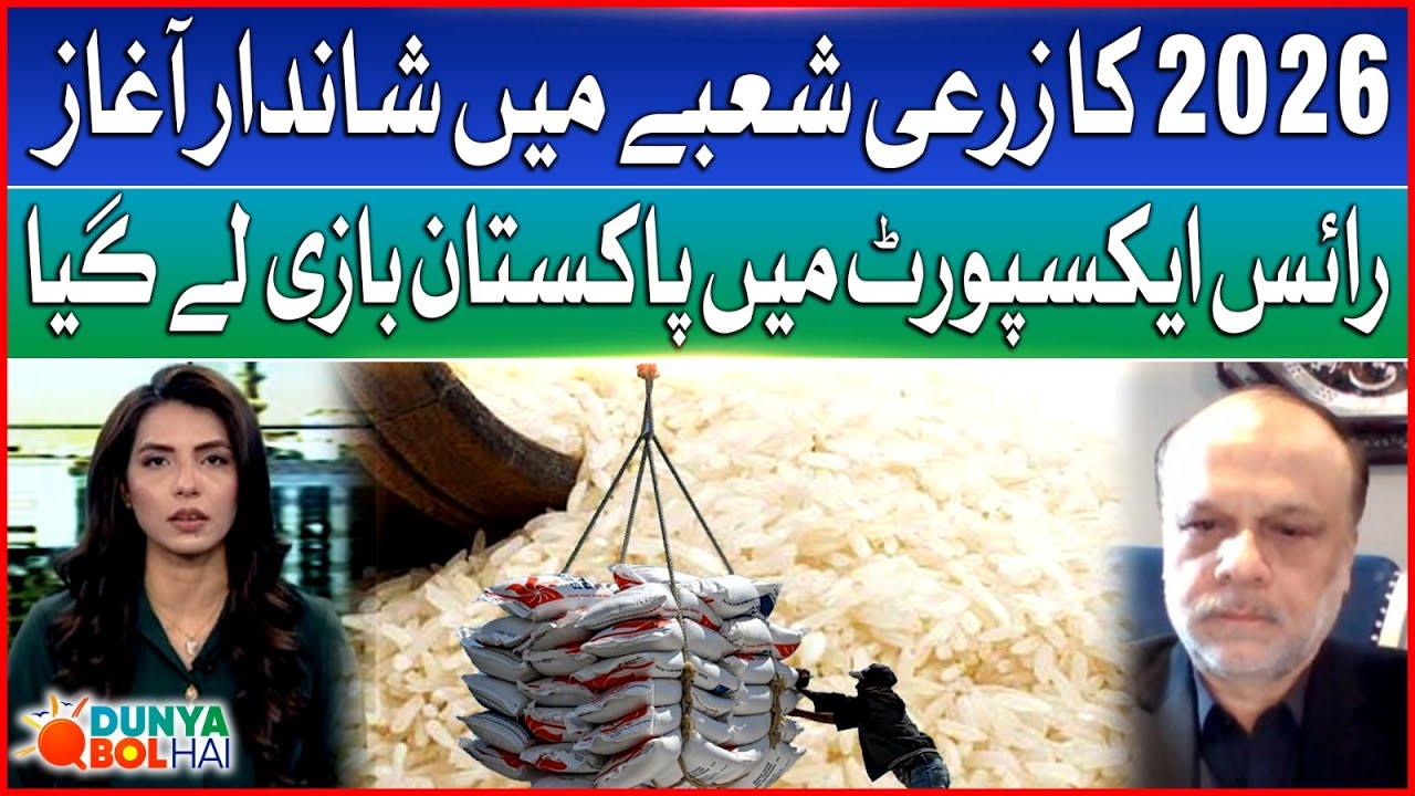 Pakistan Becomes World’s 3rd Largest Rice Exporter in Global Market | Dunya BOL Hai