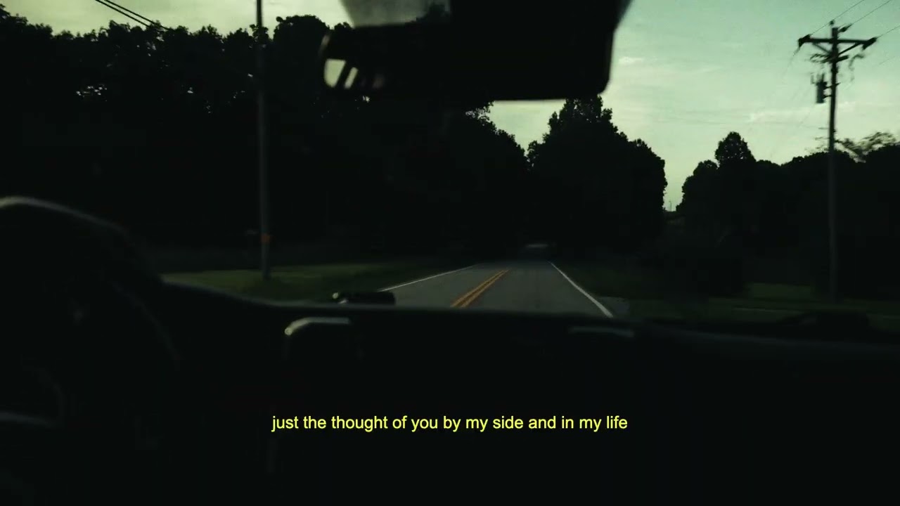 Steinza - Cabernet Serenade (Official Lyric Video)