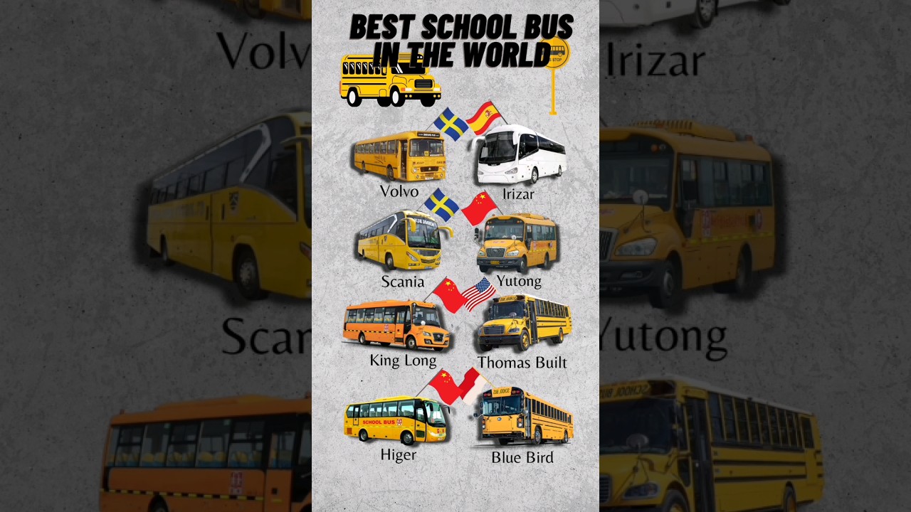 The Best School Bus In The World | #shorts