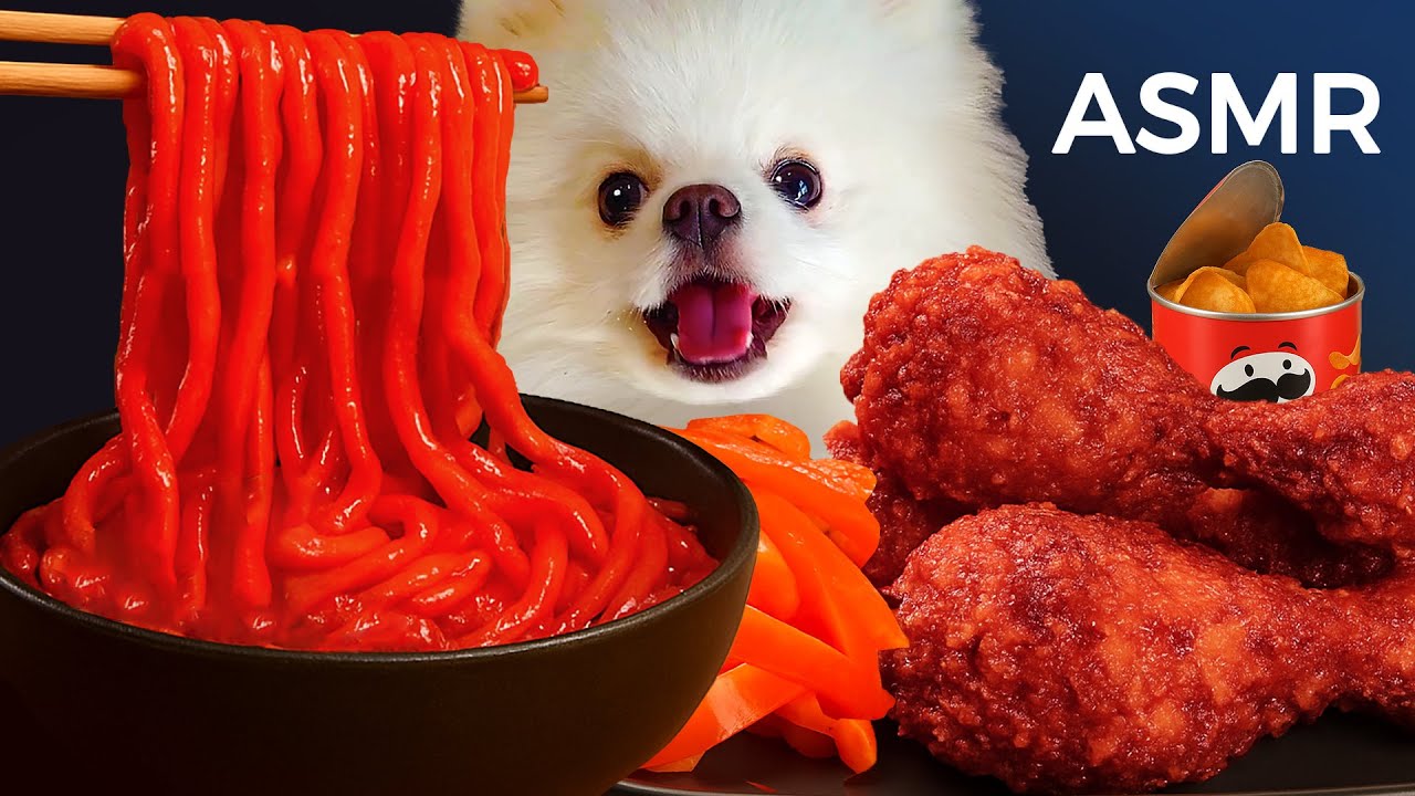 ASMR Mukbang | Yue the Pomeranian Eating Red Noodles and Crispy Fried Chicken